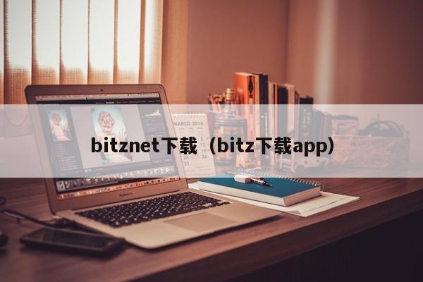 bitznet下载（bitz下载app）