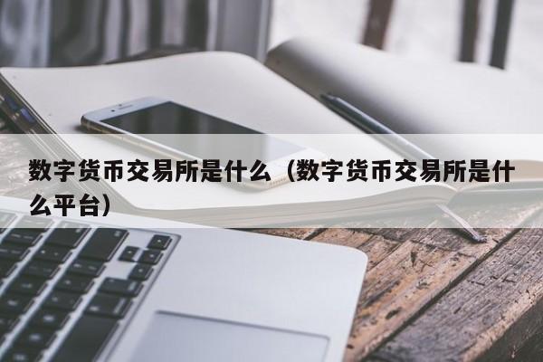数字货币交易所是什么（数字货币交易所是什么平台）