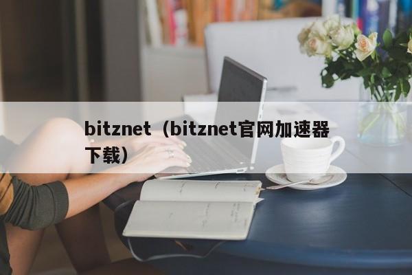 bitznet（bitznet官网加速器下载）