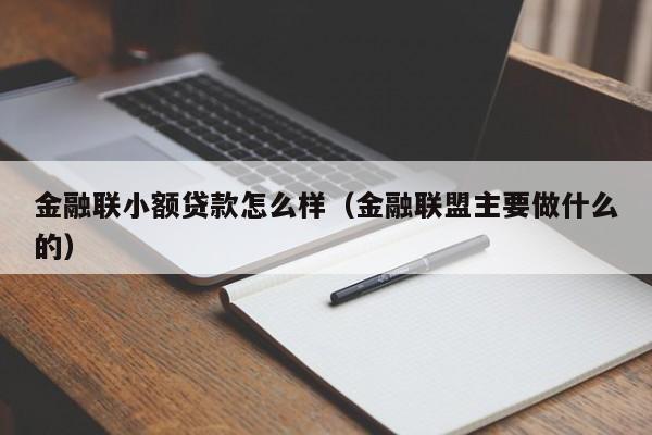金融联小额贷款怎么样(金融联盟主要做什么的)