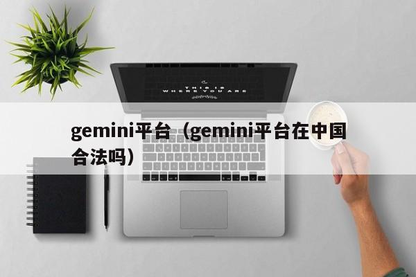 gemini平台（gemini平台在中国合法吗）