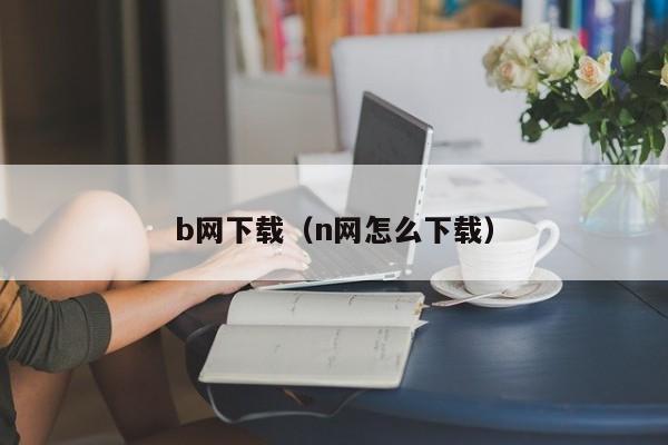b网下载（n网怎么下载）